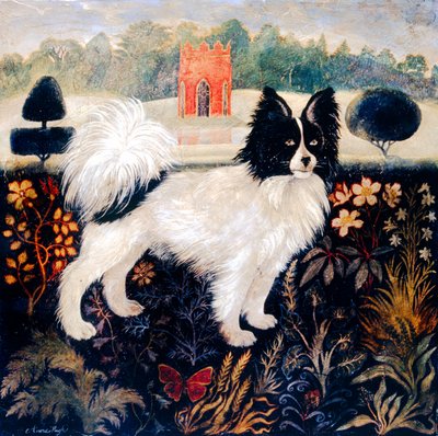  autorstwa Anna Pugh