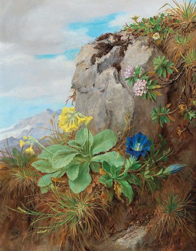 Kwiaty alpejskie autorstwa Anna Stainer Knittel