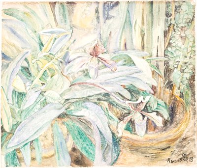 Orchidee, Ogród Botaniczny, Piza autorstwa Anna Syberg