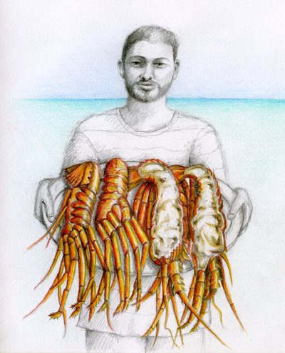 Homar kolczasty, 2019 (ołówek i kredka) autorstwa Annalisa Morrocco