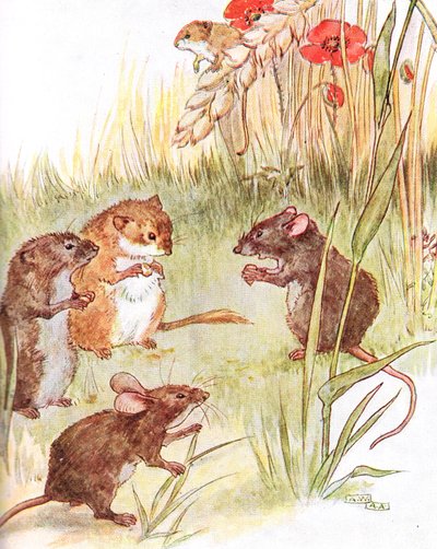 Zatrzymuję się u przyjaciół na wsi", ilustracja z "The Mischievious Mousie Book", wydanej przez Thomas Nelson und Sons, lata 20. autorstwa Anne Anderson