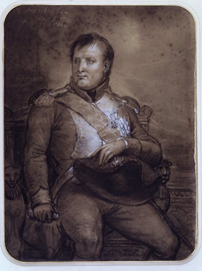 Napoleon I w Saint-Cloud, 1812 autorstwa Anne Louis Girodet de Roucy Trioson