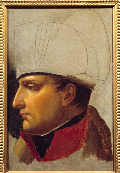 Portret Napoleona I (1769-1821) studium na przekazanie kluczy do Wiednia 13 listopada autorstwa Anne Louis Girodet de Roucy Trioson