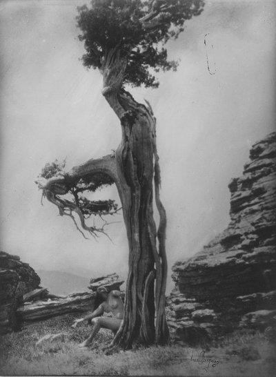 Bez tytułu (Akt u podstawy cedru) autorstwa Anne W. Brigman