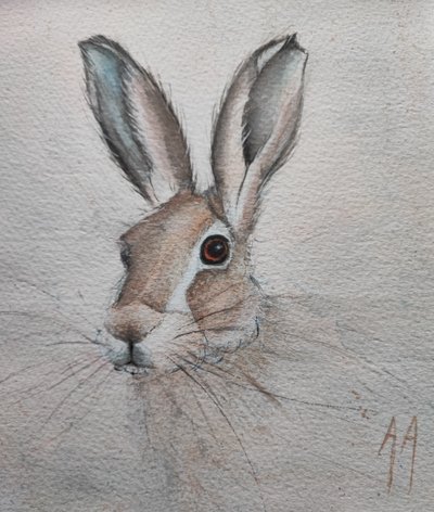 Delikatny portret zająca autorstwa Annette Armitage