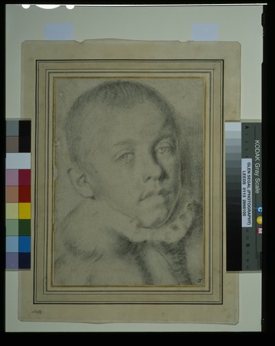 Portret-głowa chłopca (czarna kreda i węgiel na papierze) autorstwa Annibale (follower of) Carracci