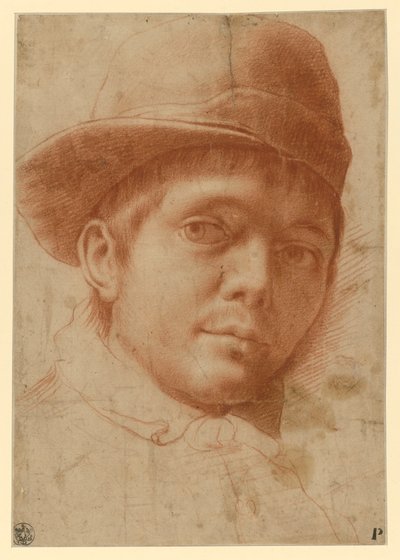 Portret młodego mężczyzny w czapce autorstwa Annibale Carracci