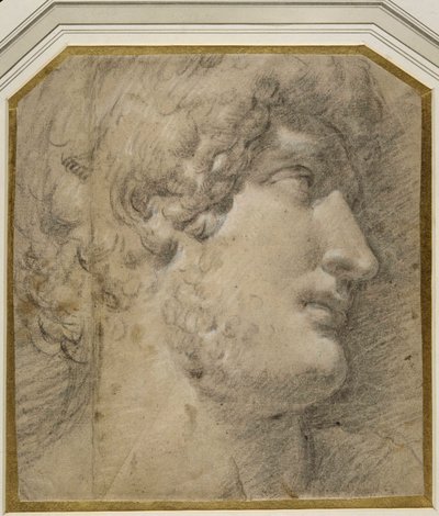 Głowa cesarza Gallienus (lub ?Hadrian), po antyku (czarna kreda na kremowym papierze) autorstwa Annibale Carracci