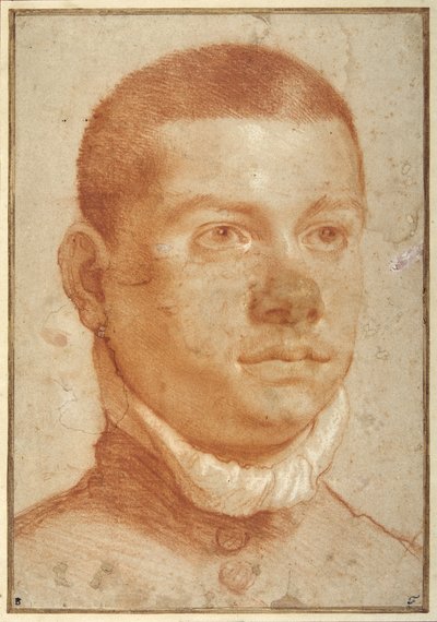 Portret-głowa młodego mężczyzny (czerwona kreda) autorstwa Annibale Carracci