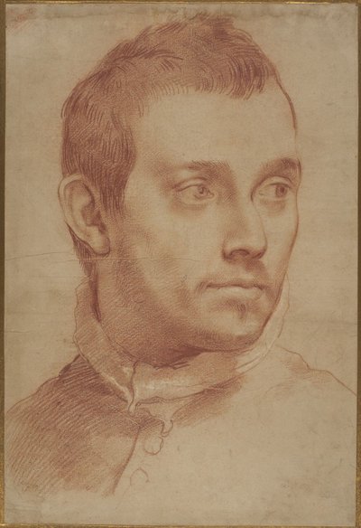 Portret młodego mężczyzny autorstwa Annibale Carracci