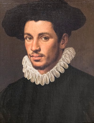 Portret młodego mężczyzny autorstwa Annibale Carracci