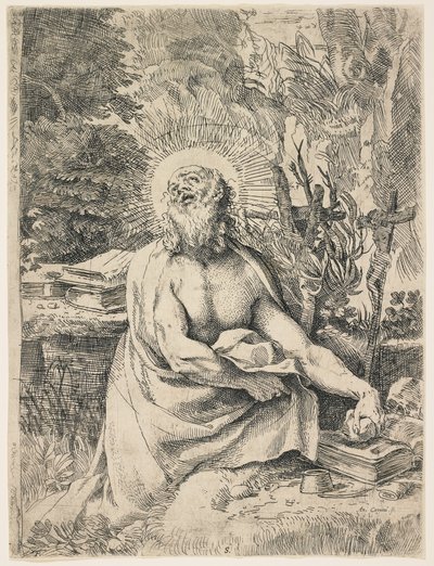 Święty Hieronim na pustkowiu, c. 1591 autorstwa Annibale Carracci