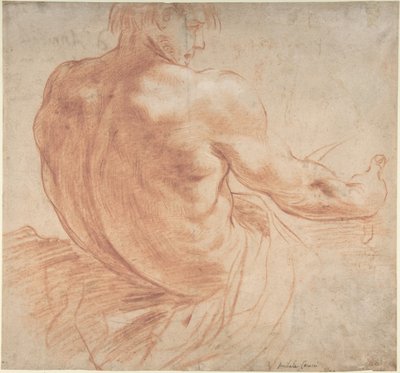 Siedzący młodzieniec zwrócony w prawo, widziany od tyłu autorstwa Annibale Carracci