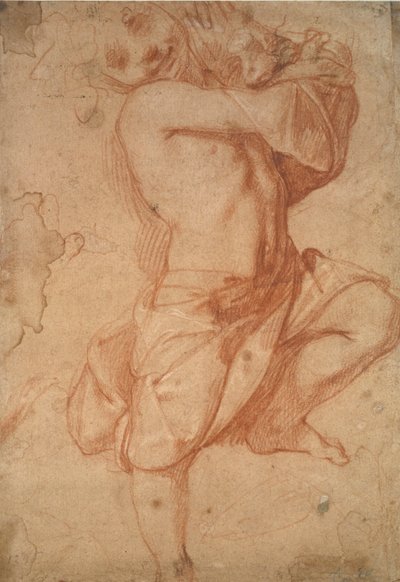Półnagi chłopiec, koniec XVI wieku autorstwa Annibale Carracci