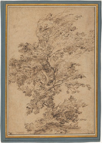 Studie eines Baumes autorstwa Annibale Carracci