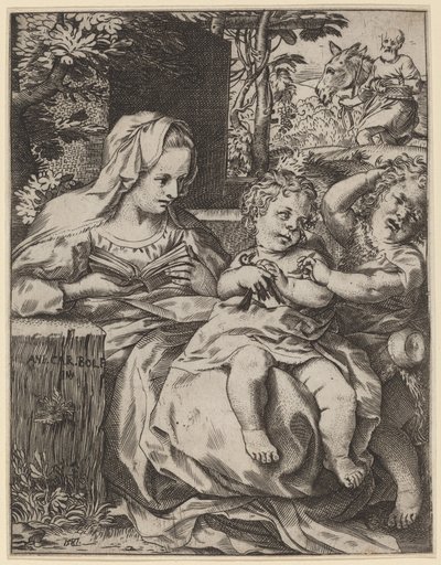 Madonna Jaskółki autorstwa Annibale Carracci