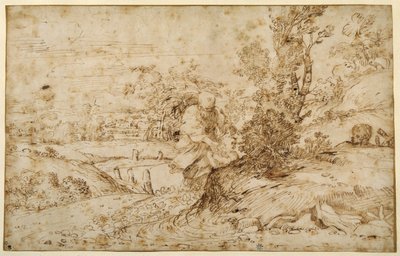 Powrót z lotu (długopis i brązowy tusz na papierze) autorstwa Annibale Carracci