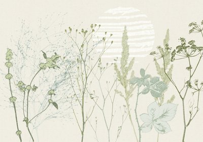 Stonowany botaniczny wschód słońca autorstwa Annick