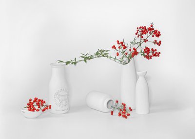 Minimalistyczna kompozycja z czerwonych jagód autorstwa Annie Poreider