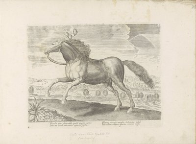 Arabisch parard Przynieś (tytuł na obiekcie) Paardenrassen uit de Koninklijke stallen van Don Juan van Oostenrijk (tytuł serii) Koń, w którym wszystkie rodzaje szlachty: wybrane zachowania koni wyróżnionych z różnych stron świata (...) (tytuł serii na obie autorstwa Anonymous