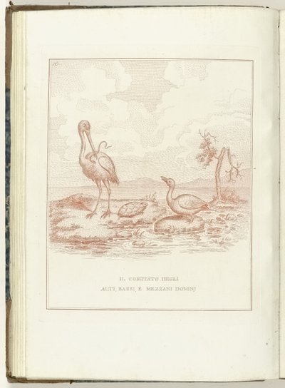 Comité van Hoge, Lage en Middelbare Heerlijkheden, 1795 Komitet Alti, Bassi i Mezzani Domini (tytuł dotyczący przedmiotu) Hollandia Regenerata (włoska kopie) (tytuł serii) Odrodzenie Holandii: spechio do wszystkich odrodzonych ludów (seria t autorstwa Anonymous