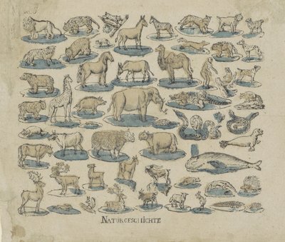 sługa Historia naturalna (tytuł na obiekcie) autorstwa Anonymous