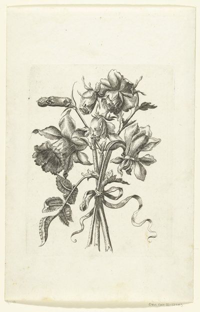 Trzy kwiaty, w tym żonkil i goździk Novae Florum Icones (tytuł serii) autorstwa Anonymous