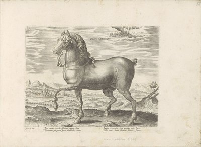 Duits Paard Koń niemiecki (tytuł na obiekcie) Paardenrassen uit de Koninklijke stallen van Don Juan van Oostenrijk (tytuł serii) Koń, w którym wszystkie rodzaje szlachty: wybrane zachowania koni wyróżnionych z różnych stron świata (...) (tytuł serii o ob autorstwa Anonymous