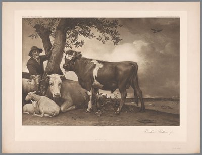 Reprodukcja fotograficzna obrazu Byk Paulusa Pottera, kol. Mauritshuis 1904 - nr 54. / Konigl. Muzeum w Hadze (tytuł serii) autorstwa Anonymous