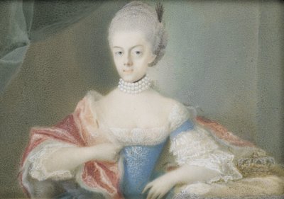 Frederika Sophia Wilhelmina (1751-1820), księżniczka Prus, żona księcia Wilhelma V autorstwa Anonymous