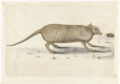 Pancernik Album Lombard (tytuł serii) autorstwa Anonymous