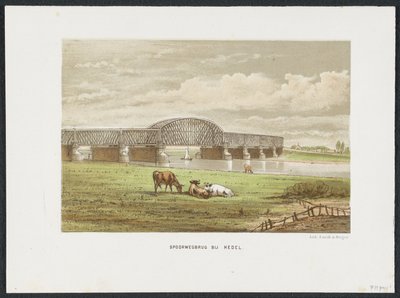 Most kolejowy Hedelse nad Mozą, 1870 Most kolejowy w Hedel (tytuł na obiekcie) Główne mosty kolejowe w Holandii (tytuł serii) autorstwa Anonymous