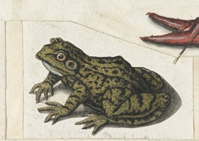Spojrzenia Album Lombard (tytuł serii) autorstwa Anonymous