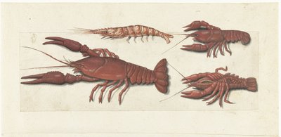 Langoustine, dwa raki i krewetki Album Lombard (tytuł serii) autorstwa Anonymous