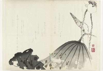 liść lotosu Album Shijo-surimono z okresu 1840-1900 (tytuł serii) autorstwa Anonymous