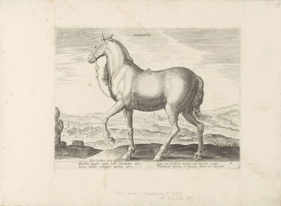 Paard uit Albanië Albanus (tytuł na obiekcie) Paardenrassen uit de Koninklijke stallen van Don Juan van Oostenrijk (tytuł serii) Koń, w którym wszystkie rodzaje szlachty: wybrane zachowania koni wyróżniających się z różnych stron świata (...) (tytuł serii  autorstwa Anonymous