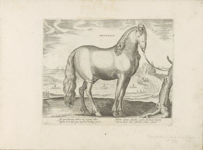 Paard uit Bretagne (Wielka Brytania) Brytyjski (tytuł na obiekcie) Paardenrassen uit de Koninklijke stallen van Don Juan van Oostenrijk (tytuł serii) Koń, w którym wszyscy szlachcice: wybrani z różnych stron świata wyróżniający się zachowaniem koni (...) ( autorstwa Anonymous