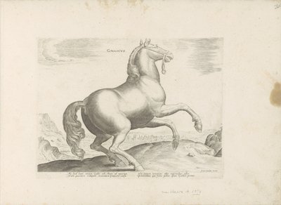 Paard uit Frankrijk Francuski (tytuł na obiekcie) Paardenrassen uit de Koninklijke stallen van Don Juan van Oostenrijk (tytuł serii) Koń, w którym szlachta wszelkiego rodzaju: zachowanie koni wyróżniających się z różnych stron świata (...) (tytuł serii na  autorstwa Anonymous