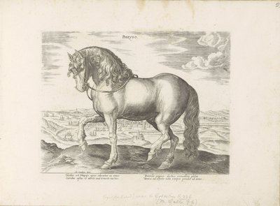 Paard uit Friesland Phryso (tytuł na obiekcie) Paardenrassen uit de Koninklijke stallen van Don Juan van Oostenrijk (tytuł serii) Koń, w którym wszystkie rodzaje szlachty: wybrane zachowania koni wyróżnionych z różnych stron świata (...) (tytuł serii o ob autorstwa Anonymous