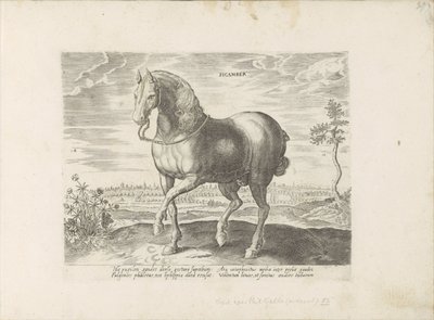 Paard uit Gelre Sicamber (tytuł na obiekcie) Paardenrassen uit de Koninklijke stallen van Don Juan van Oostenrijk (tytuł serii) Koń, w którym wszystkie rodzaje szlachty: wybrane zachowania koni wyróżniających się z różnych stron świata (...) (tytuł serii n autorstwa Anonymous