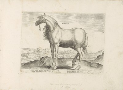 Paard z Grecji Achivus (tytuł na obiekcie) Paardenrassen uit de Koninklijke stallen van Don Juan van Oostenrijk (tytuł serii) Koń, w którym szlachta wszelkiego rodzaju: zachowanie koni wyróżniających się z różnych stron świata (...) (tytuł serii na temat autorstwa Anonymous