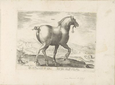 Paard uit Saksen Saxo (tytuł na obiekcie) Paardenrassen uit de Koninklijke stallen van Don Juan van Oostenrijk (tytuł serii) Koń, w którym wszystkie rodzaje szlachty: wybrane zachowania koni wyróżnionych z różnych stron świata (...) (tytuł serii na obiekci autorstwa Anonymous