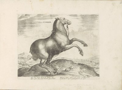 Paard uit Scytia Cimber (tytuł na obiekcie) Paardenrassen uit de Koninklijke stallen van Don Juan van Oostenrijk (tytuł serii) Koń, w którym wszystkie rodzaje szlachty: wybrane zachowania koni wyróżniających się z różnych stron świata (...) (tytuł serii na autorstwa Anonymous