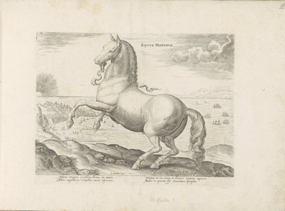 Paard uit Spanje Koń hiszpański (tytuł na obiekcie) Paardenrassen uit de Koninklijke stallen van Don Juan van Oostenrijk (tytuł serii) Koń, w którym wszelka szlachta: wybrane zachowania koni wyróżnionych z różnych stron świata (...) (tytuł serii autorstwa Anonymous