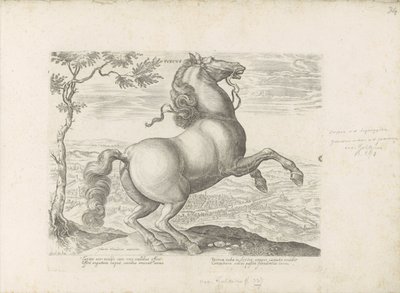 Paard uit Toscane Toskania (tytuł na obiekcie) Koń, w którym wszystkie rodzaje szlachty: wybrane zachowania koni wyróżnionych z różnych stron świata (...) (tytuł serii na obiekcie) autorstwa Anonymous