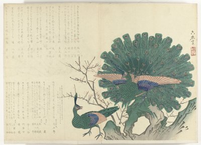 pawie Album Shijo-surimono z okresu 1840-1900 (tytuł serii) autorstwa Anonymous