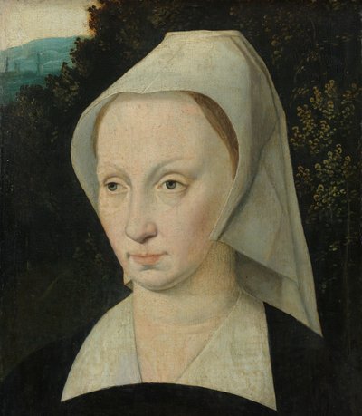 Portret kobiety autorstwa Anonymous