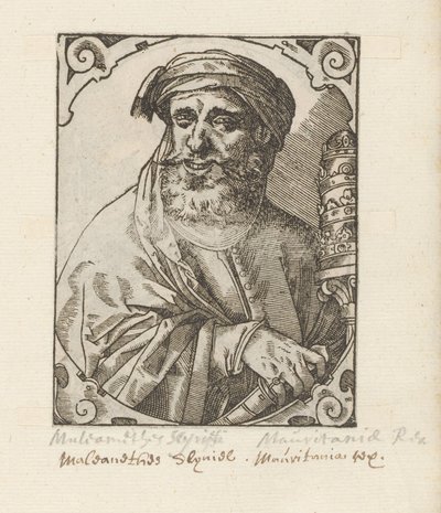 Portret Muleamethesa Scyriffica autorstwa Anonymous