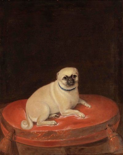Pug autorstwa Anonymous