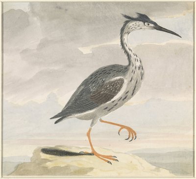 Czapla autorstwa Anonymous